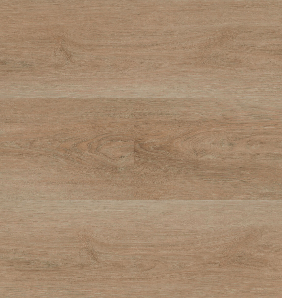 Charente XL Plank 5561 | Hebeta